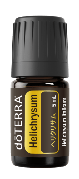 ヘリクリサム／Helichrysum italicum