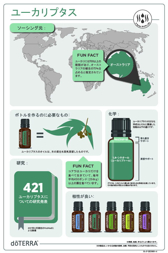 ユーカリプタス – doTERRA TIMES doTERRA ドテラ ユーカリプタス レモン ペパーミント