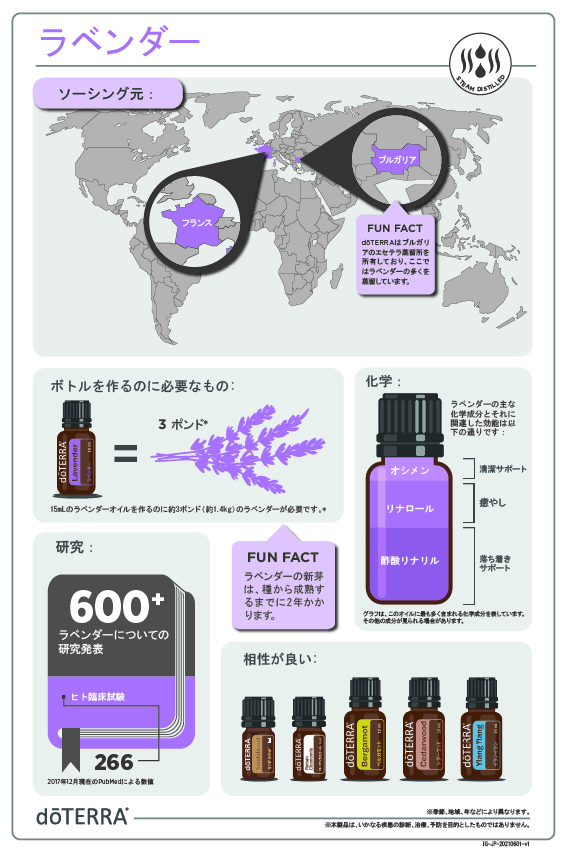 ドテラ　doTERRA ラベンダー