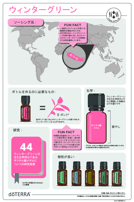 ドテラ　バブルデュフューザー \u0026 ウィンターグリーン15ml