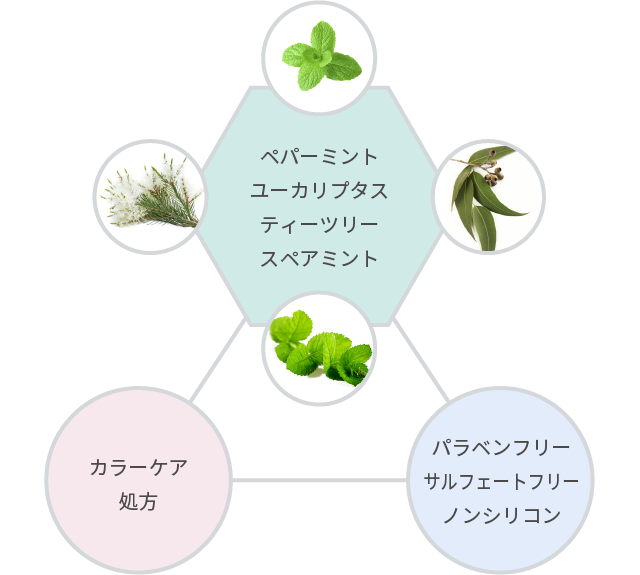 エッセンシャルオイル配合図