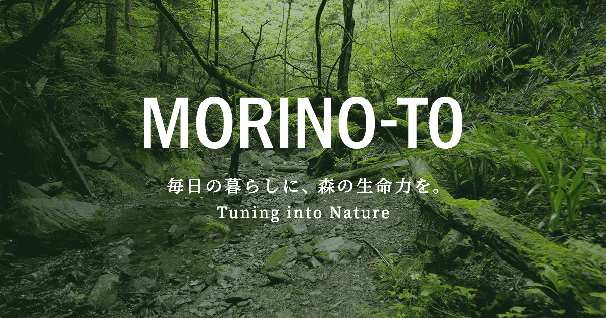 森の音 MORINO-TO