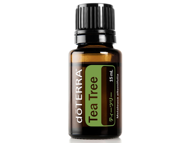 doTERRA ドテラ　ティーツリー15ml