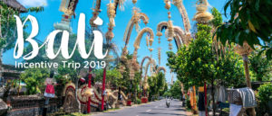 「Incentive Trip 2019 Bali」のポイント獲得ランキング