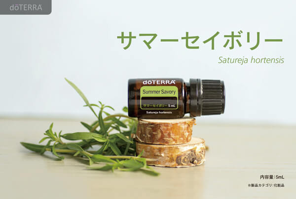 製品カードのご紹介 <8月のPOMと10%OFF製品> | doTERRA TIMES
