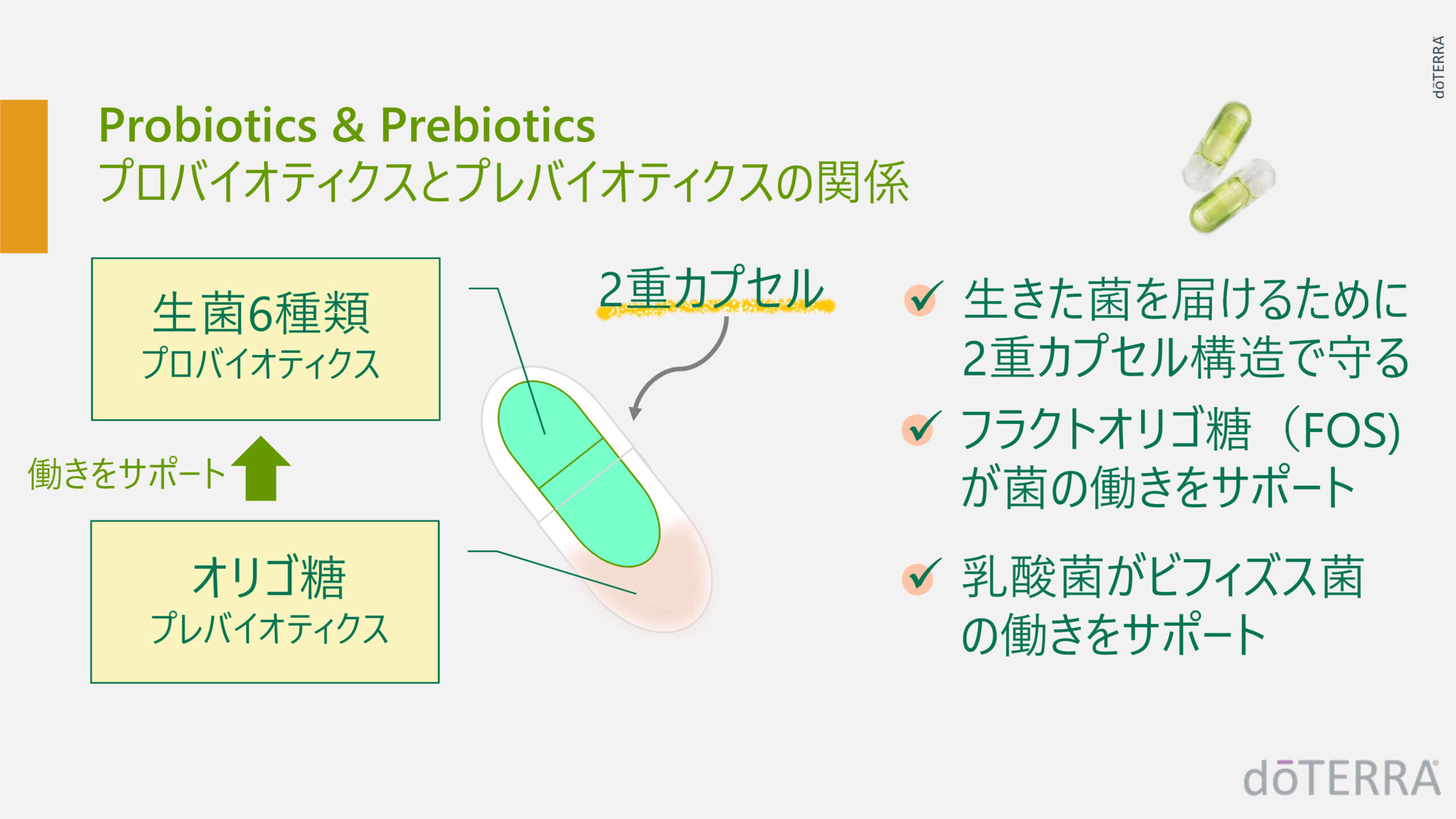 PBアシスト＋ – doTERRA TIMES