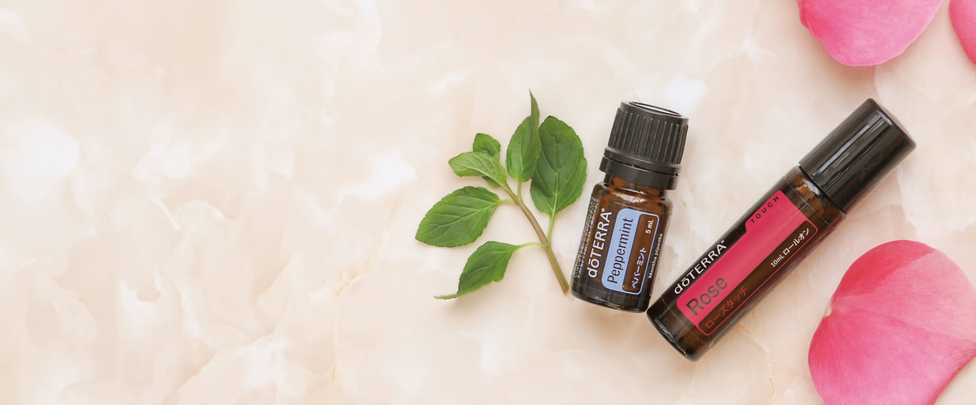 ドテラ ジャパン 情報サイト L Doterra Times