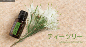 6月のPOMと10％OFF製品