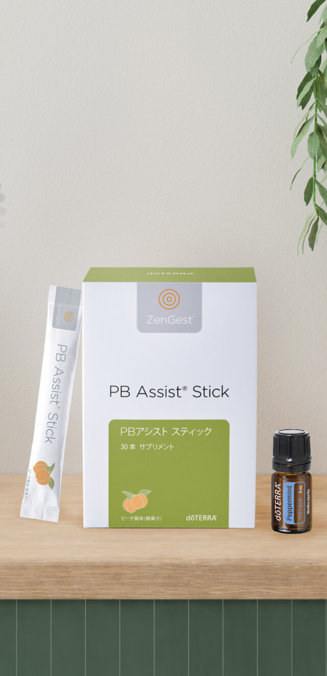 メーカー直売 健康用品 PBアシスト スティック 3箱 - 食品