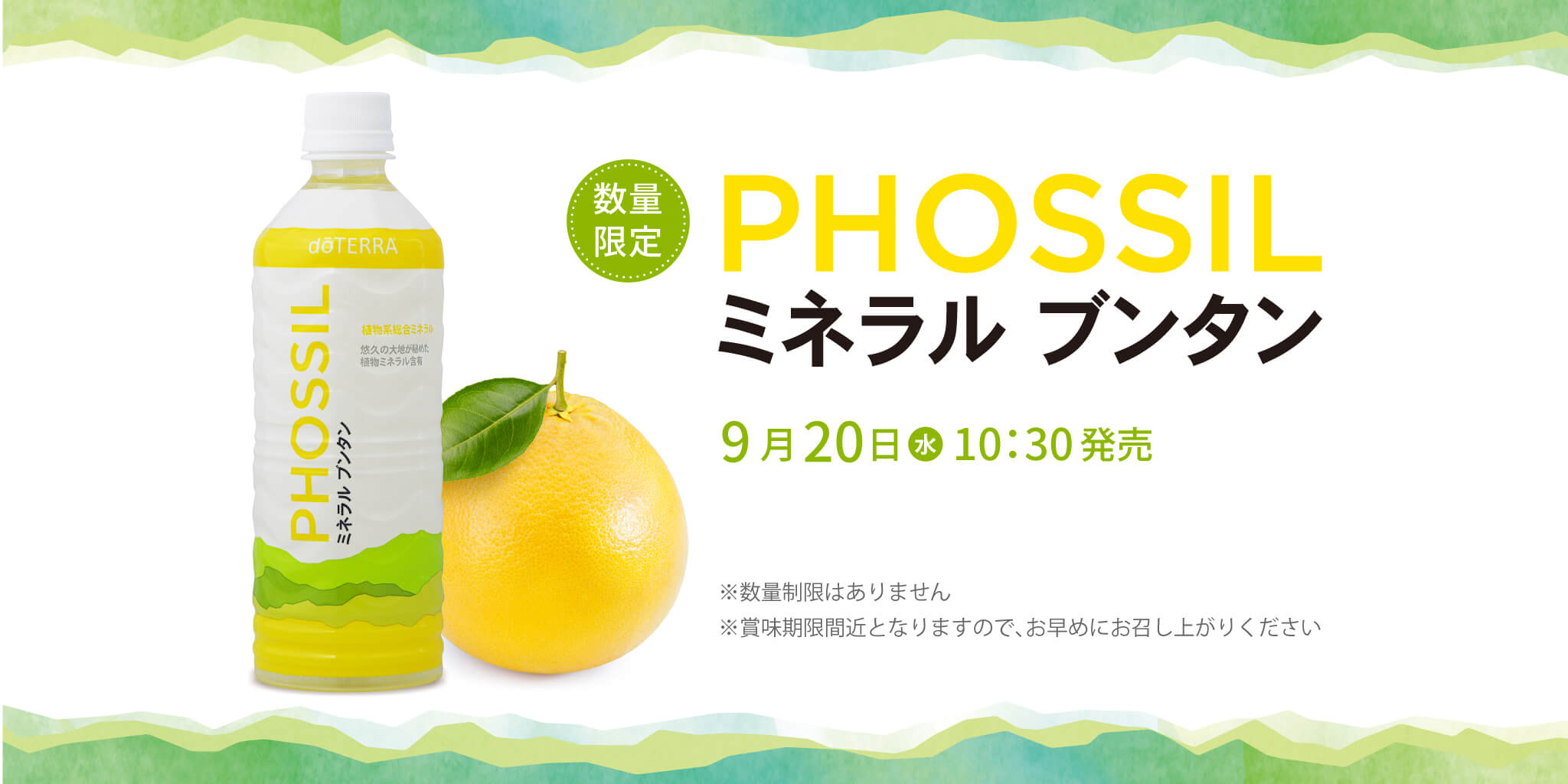 完売＞ PHOSSIL ミネラル ブンタン販売のお知らせ | doTERRA TIMES