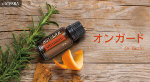 12月のPOMと10%OFF製品