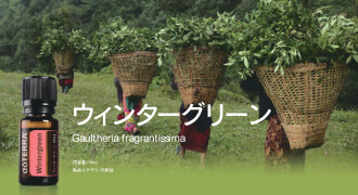 2025年1月のPOM – ドテラ パスポートプログラム - doTERRA TIMES