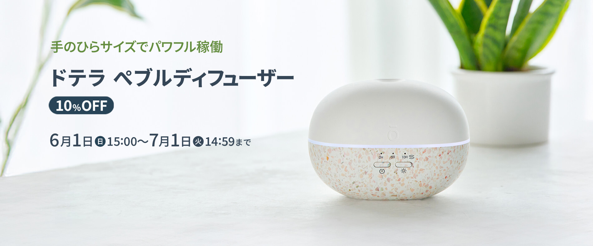 ドテラ ぺブルディフューザー 10%OFF