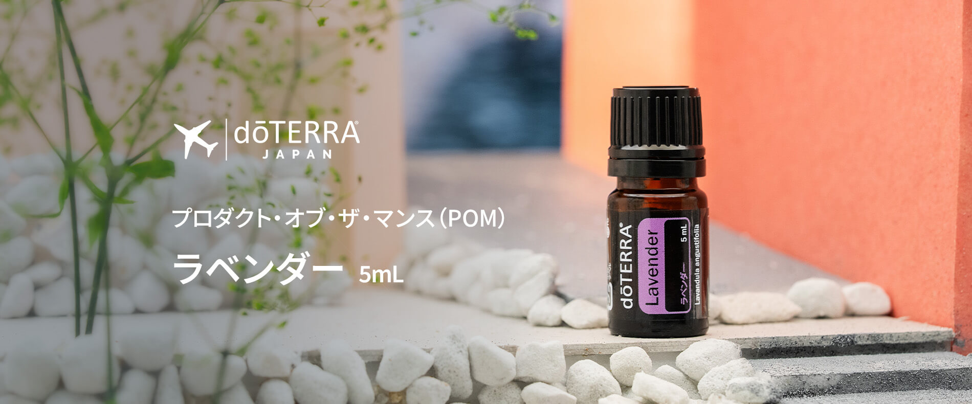 6月のプレゼントオイル - ラベンダー 5mL