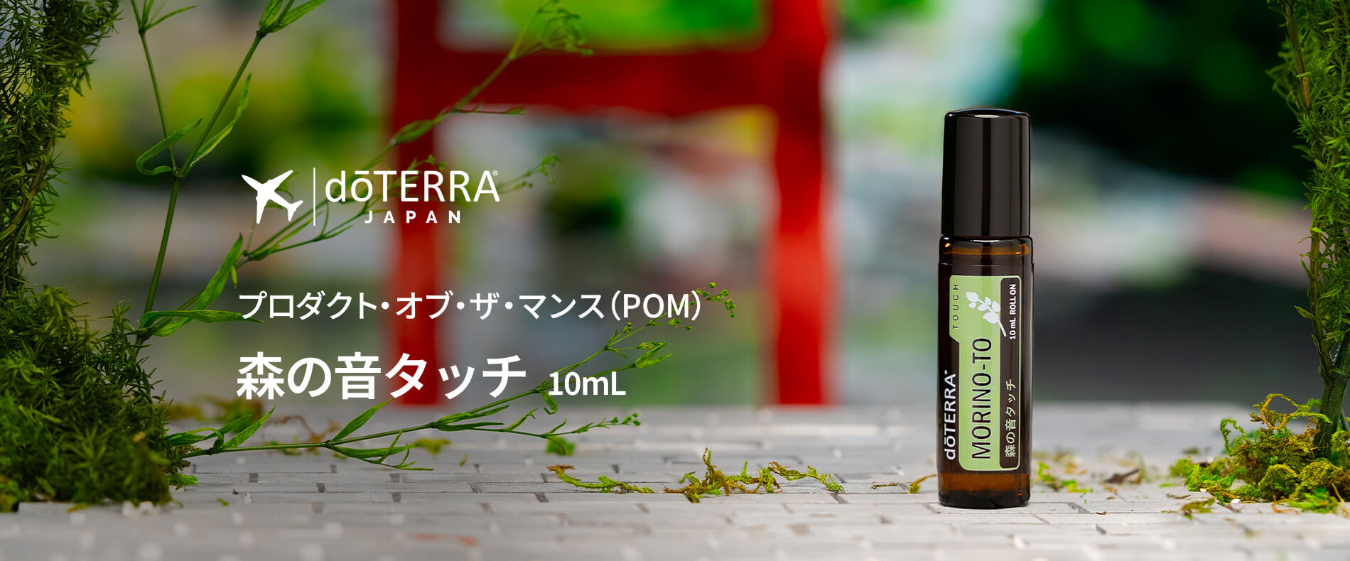 今月のプレゼントオイル森の音タッチ