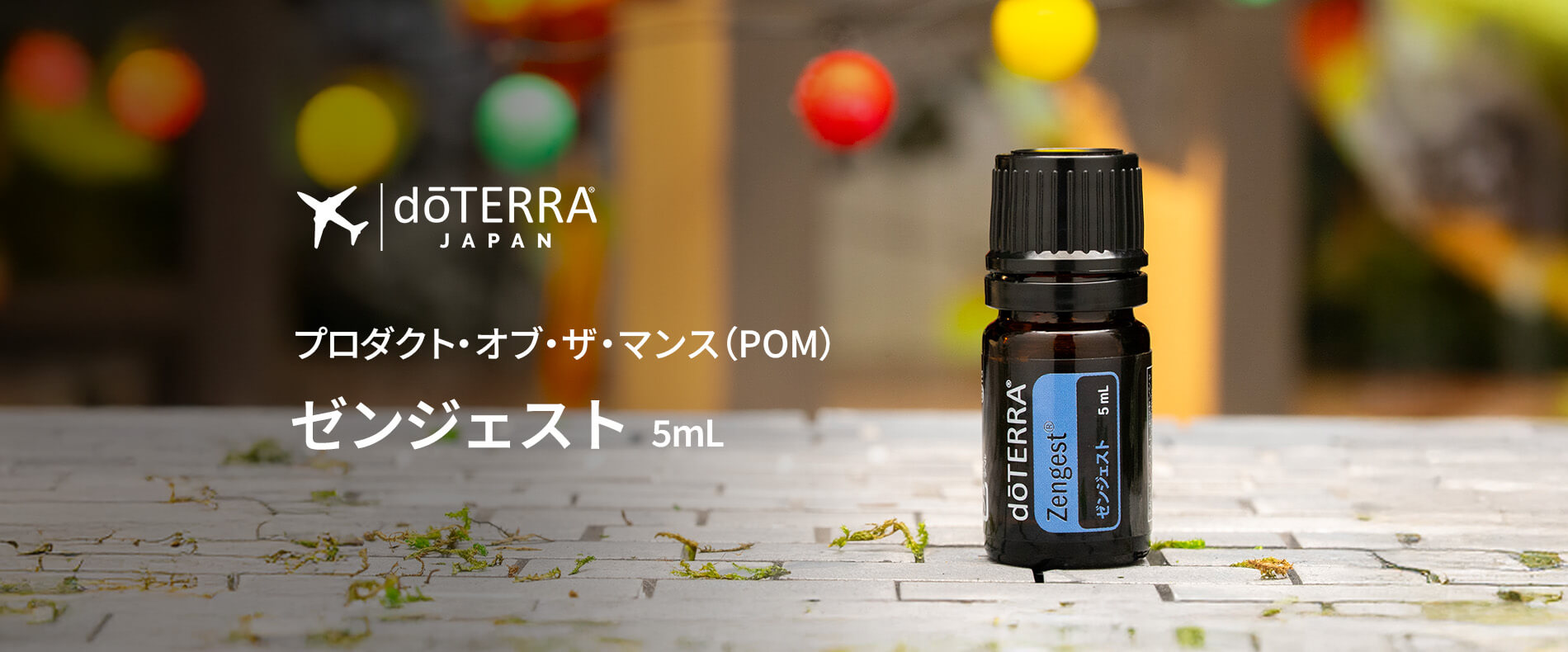 今月のプレゼントオイルゼンジェスト 5mL