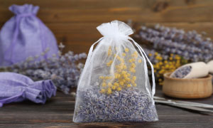 プロダクトセンター　2026年1月のワークショップ・体験コーナー