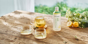 本日発売！【ドテラホリデー2025 STAR ITEM】PHOSSIL ミネラル エルダーフラワー