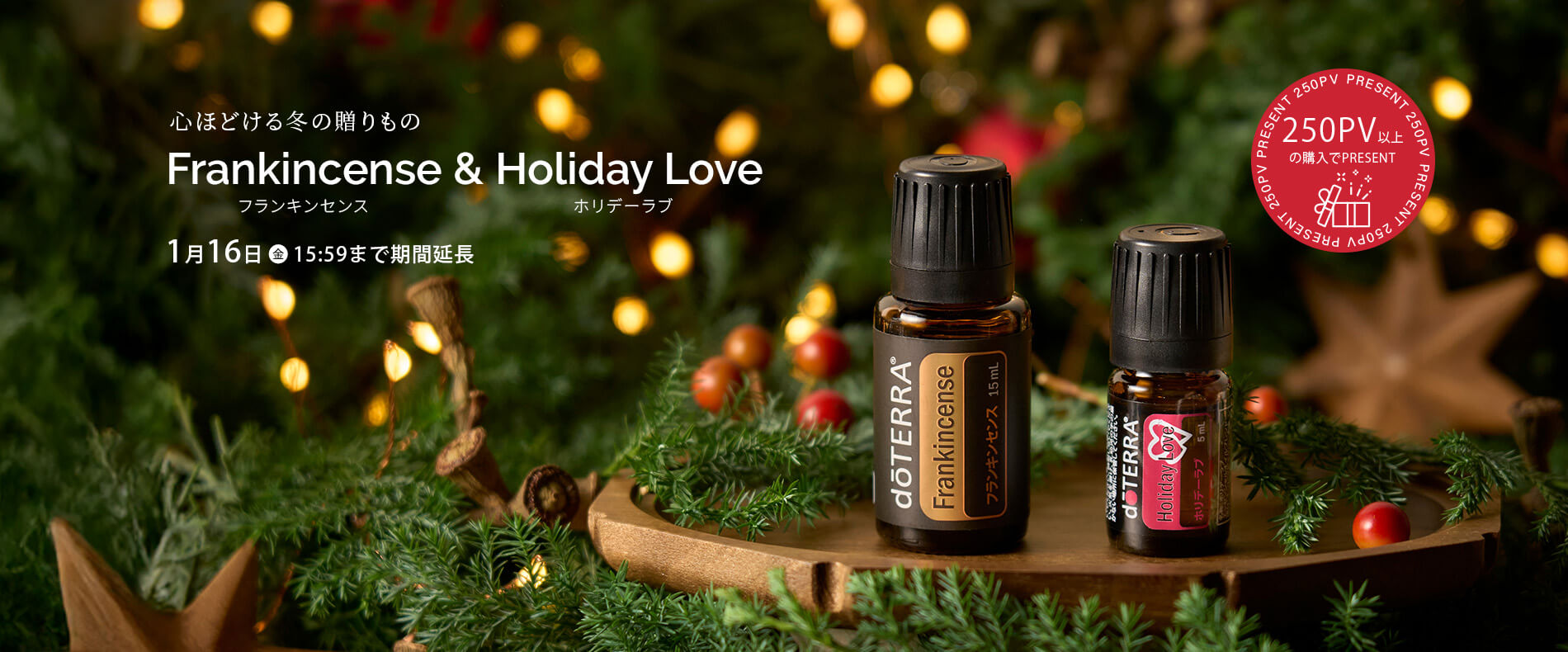 250PVプロモーションフランキンセンス 15mL ＆ ホリデーラブ 5mL