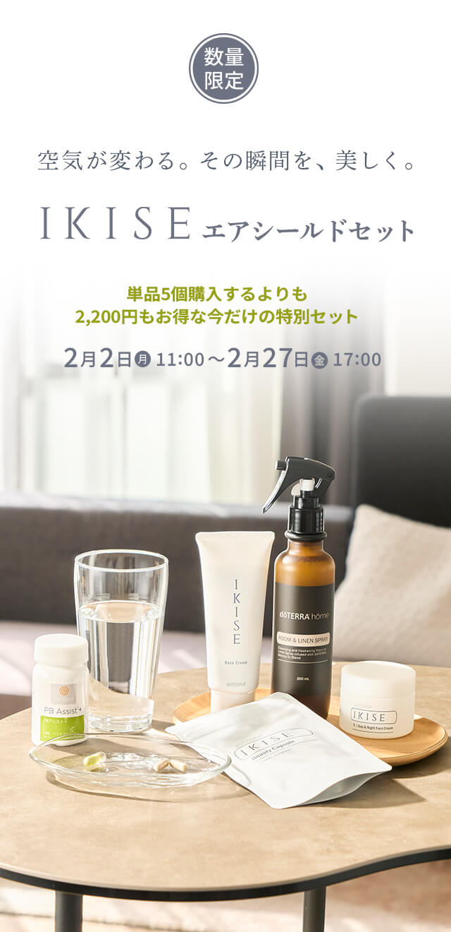 IKISE エアシールドセット