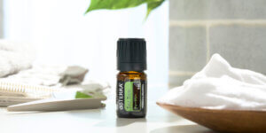 2026年1月のPOM – Product of the Month