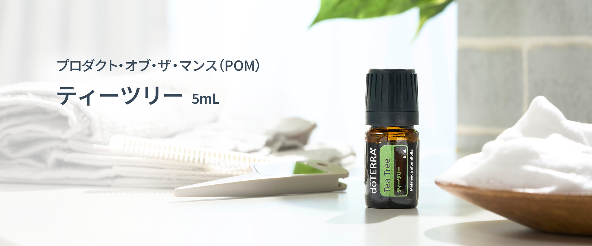 2026年1月のプレゼントオイルティーツリー 5mL