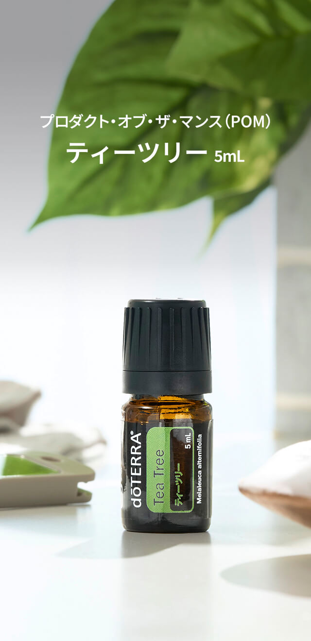 2026年1月のプレゼントオイルティーツリー 5mL