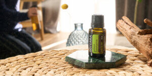 2月のPOM - Product of the Month