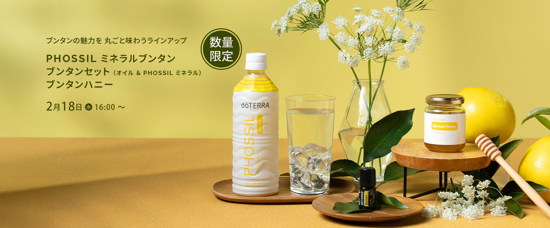 PHOSSIL ミネラル ブンタンブンタンセットブンタンハニー