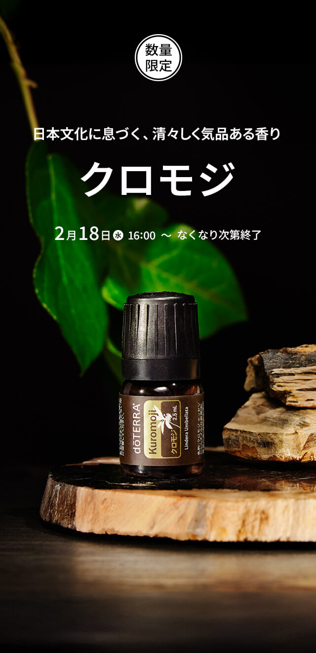 クロモジ（数量限定）