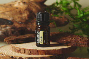 3月のプレゼントオイル<br>– プロダクト・オブ・ザ・マンス（POM）