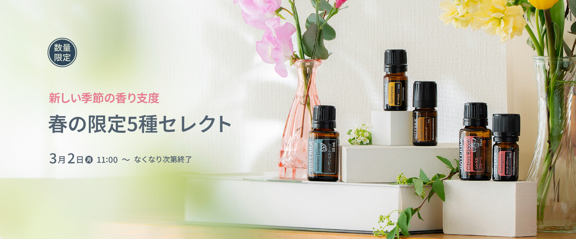 春の限定オイル5種