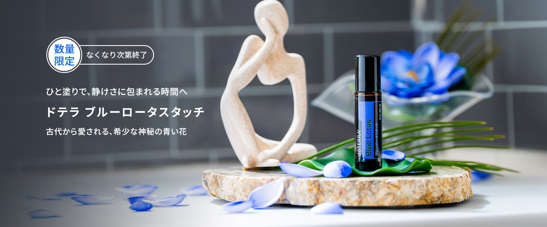 ブルーロータスタッチ