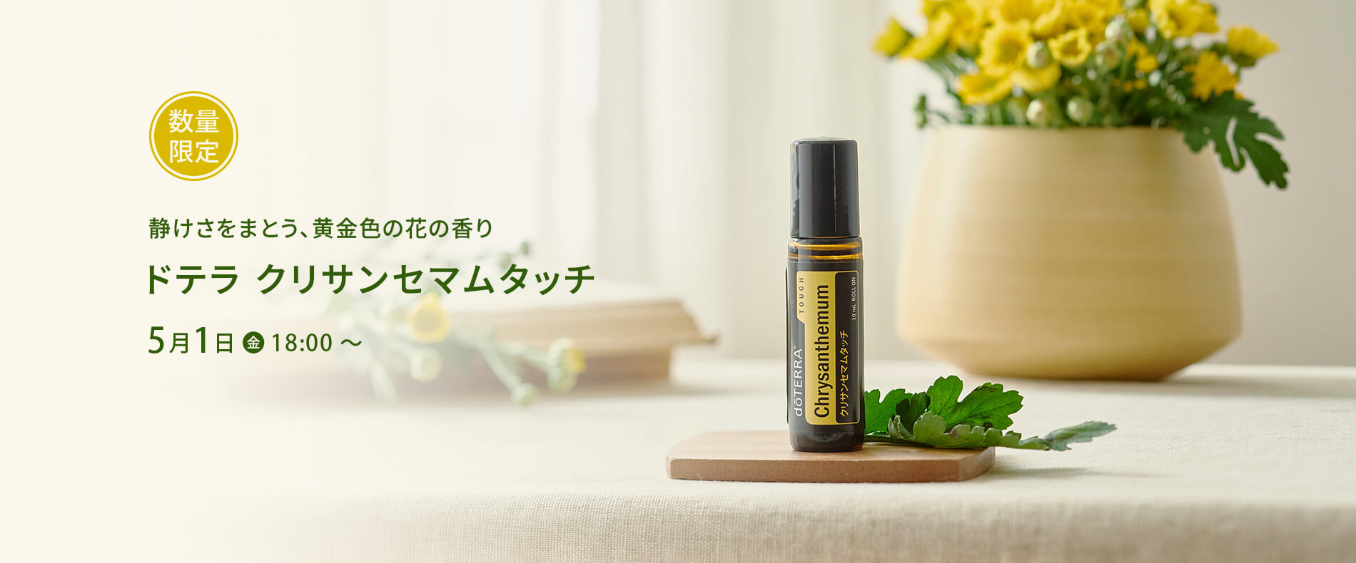 クリサンセマムタッチ