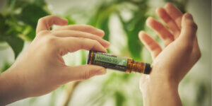 4月のプレゼントオイル<br>– プロダクト・オブ・ザ・マンス（POM）