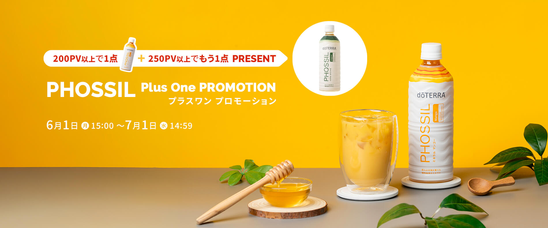 PHOSSIL プラスワンプロモーション