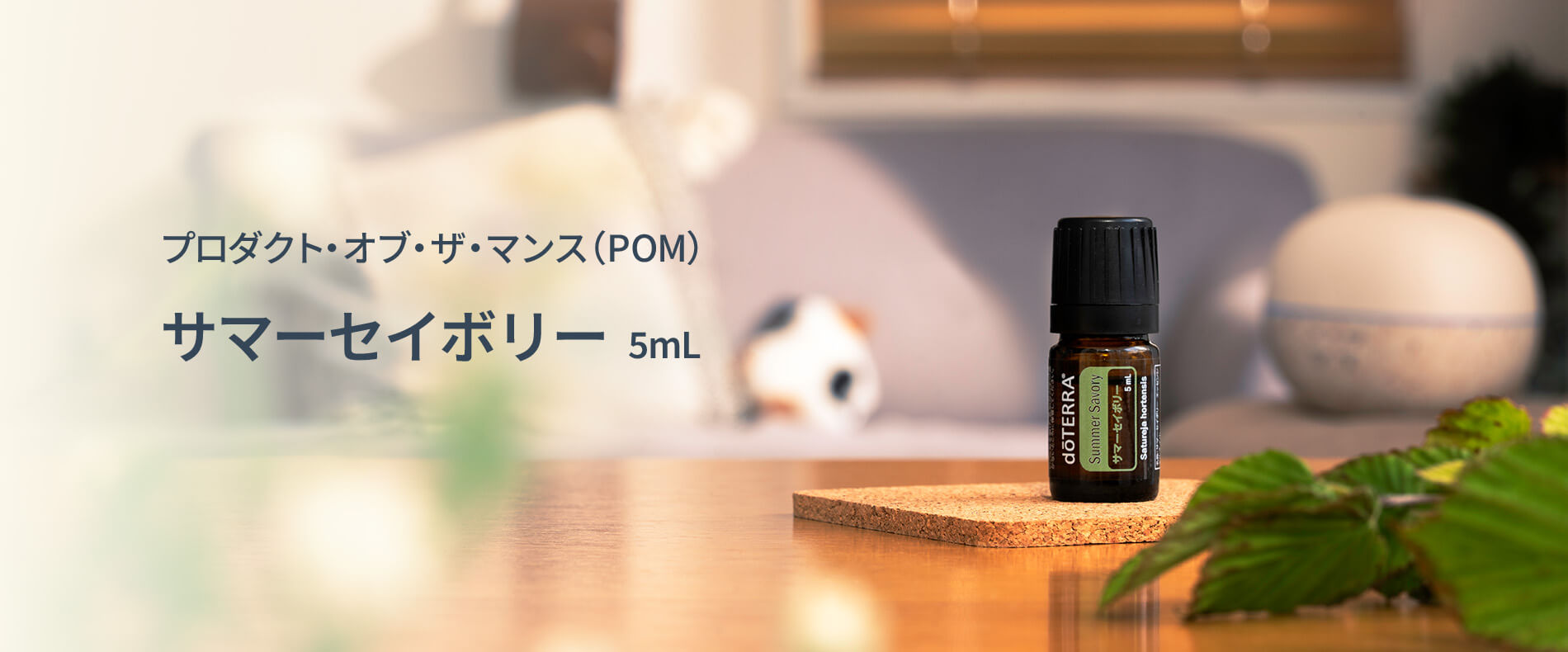 7月のプレゼントオイルサマーセイボリー