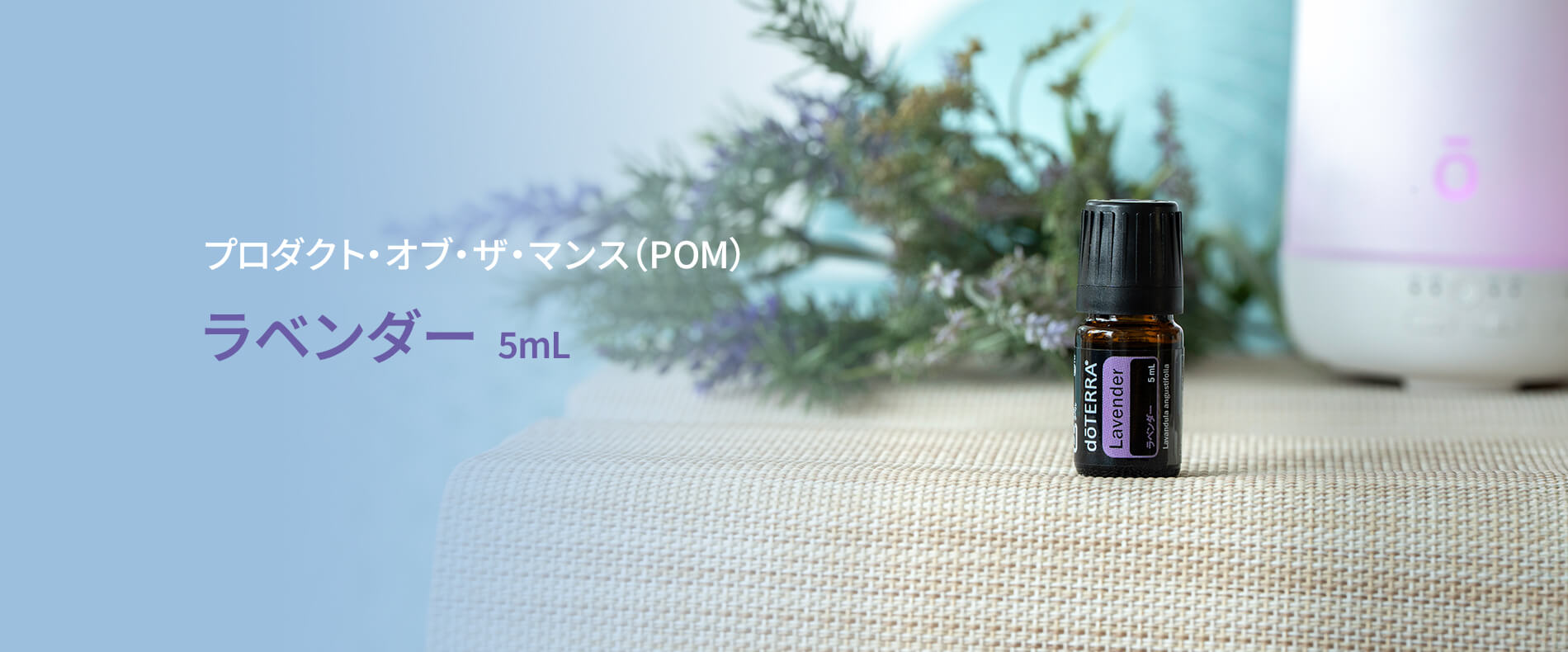今月のプレゼントオイルラベンダー 5mL