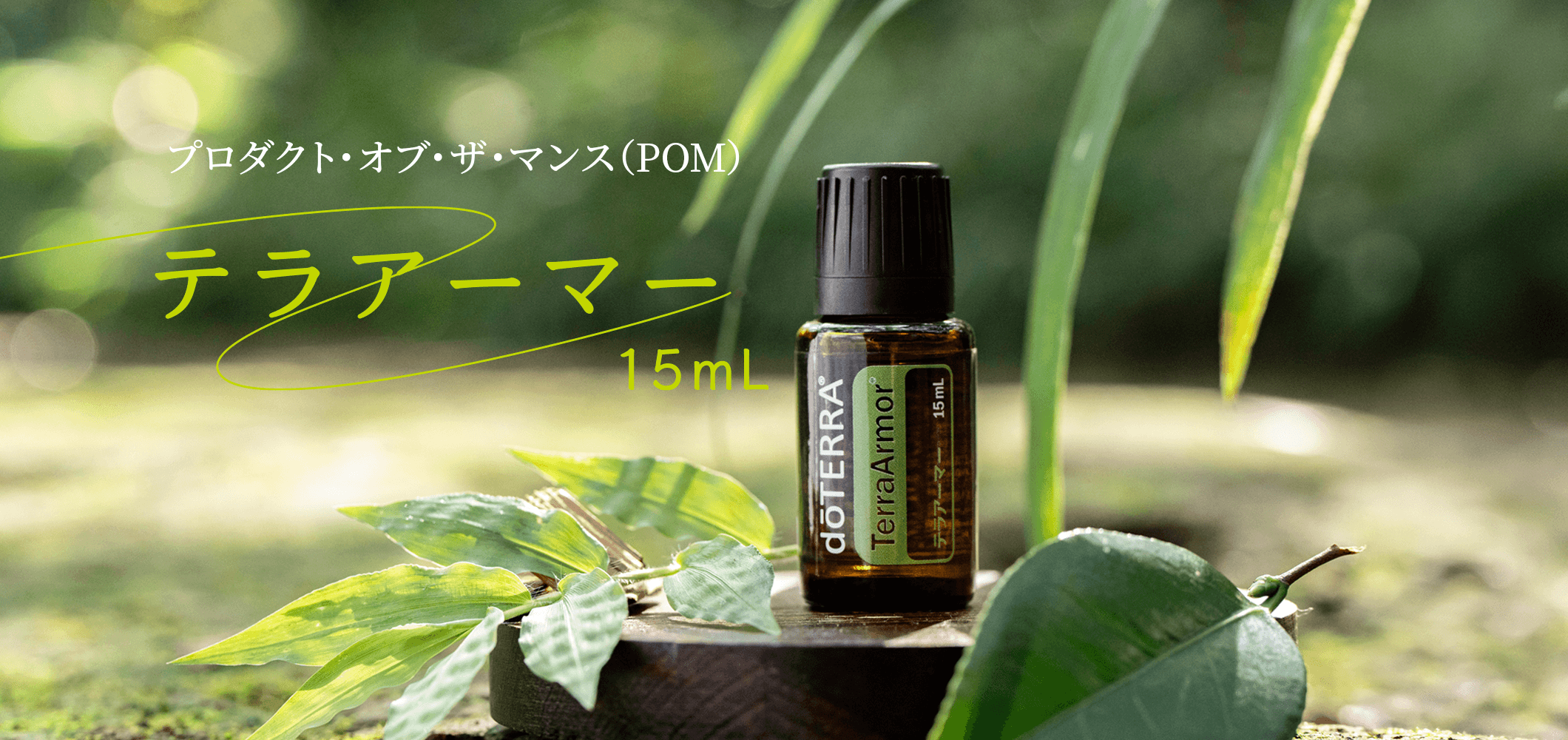9月のプレゼントオイルテラアーマー 15mL