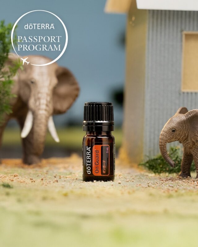4月の対象国は南アフリカ🇿🇦 そしてPOMは、オンガード 5mLです。⁠

4月のプロダクト・オブ・ザ・マンス（POM） 
【 オンガード 5mL 】⁠
オンガードは、季節の変化に負けない健やかな毎日をサポートする、温かみのあるスパイシーな香りのブレンドオイルです。
⁠
⁠💡 おすすめの使い方 
毎日のケアに： 植物油やはちみつと一緒に、ベジタブルカプセルに2～3滴入れて。
空間を心地よく： ディフューザーで香りを拡散し、気分もリフレッシュ。
クリーン習慣に： 水に数滴加えて、多目的クリーナーとして活用。

⁠
🌍ドテラ パスポートプログラムとは？
⁠
エッセンシャルオイルを通じて生産地の暮らしを支え、持続可能な未来 を共に創るプログラム。⁠
毎月の定期購入（LRP） を通じて、世界中の生産者が 公平な取引と安定した収入 を得られるようサポートしています。⁠
⁠
大地の恵みと生産者の想いが詰まったエッセンシャルオイル。⁠
あなたの日常を豊かに彩るだけでなく、遠く離れた地域の未来や笑顔を育む力を持っています。香りの輪を広げて、世界に癒しを届けてみませんか？⁠
⁠
#ドテラ #doTERRA #パスポートプログラム #エッセンシャルオイル #世界を旅する #地域支援 #南アフリカ #オンガード