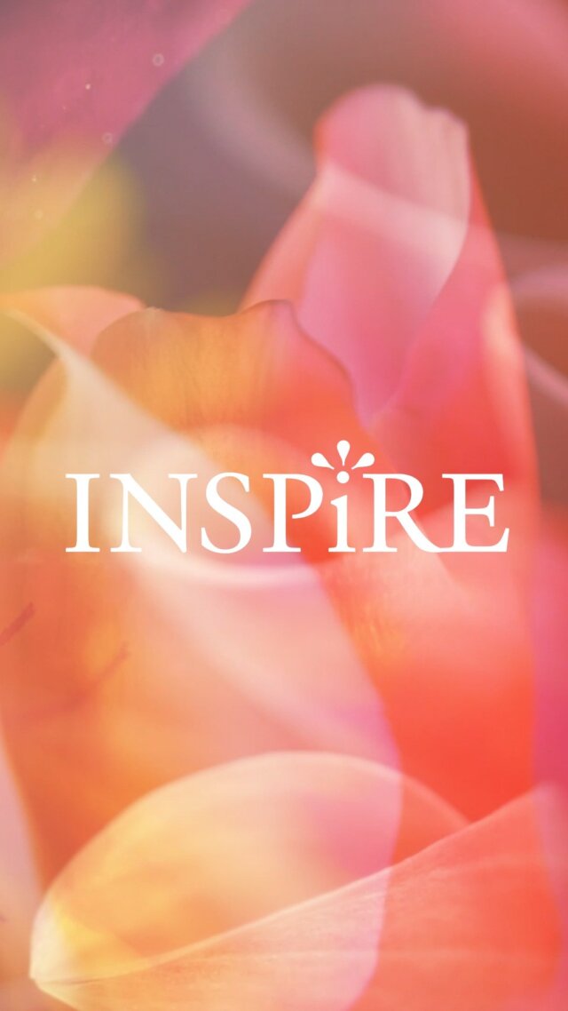 今年も、dōTERRA Japan最大イベント「ジャパン コンベンション2025」を開催いたします。⁠
学びと感動に満ちた2日間を、横浜アリーナでぜひご体験ください。⁠
⁠
⁠
ジャパン コンベンション 2025 日程⁠
開催日程：2025年10月29日（水）＆30日（木）⁠
開催時間：後日発表⁠
開催場所：横浜アリーナ⁠
⁠
対象者⁠
全ての会員の皆様（WA会員、WC会員、未会員）⁠
⁠
早割チケット販売期間⁠
2025年5月13日（火）10:30～2025年6月3日（火）17:00まで⁠
⁠
一般チケット販売期間⁠
※早割チケットが完売した場合、一般チケットの販売は行いません。⁠
2025年6月10日（火）10:30～2025年7月8日（火）17:00まで⁠
⁠
詳しくはプロフィール欄の「コンベンション特設サイト」から、⁠
ぜひチェックしてみてください✅⁠
⁠
⁠
#ドテラ #doTERRA #ジャパンコンベンション2025