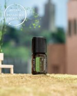 doTERRA - ふくぷくママ 製品検索 | doTERRA TIMES