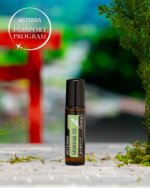 本日値下げします。doTERRA ケースとオイル 楽天市場】【平日15時まで/当日出荷】ドテラ doTERRA シトラス