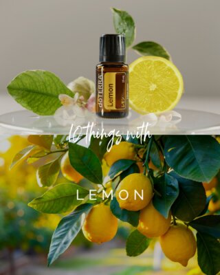 みずみずしく弾ける、爽やかなレモン🍋✨

ドテラのベストセラーオイルのひとつとして親しまれており、お部屋のディフューズはもちろん、毎日の掃除や飲み物、料理など幅広いシーンで活躍します。

果皮から低温圧搾法で丁寧に抽出されたオイルは、クリーンで爽やかな香りが特長。フレッシュな柑橘の香りが空間を明るく彩り、気分をリフレッシュして前向きな一日をサポートしてくれます。

毎日の暮らしにレモンを取り入れて、気持ちまで晴れやかになるようなリフレッシュタイムを過ごしてみませんか？💛

あなたはどんなシーンでレモンを使ってみたいですか？💭

「10のことシリーズ」で知りたいオイルも、ぜひ教えてください✨

————————————⁠
※ご使用上の注意はドテラタイムズの⁠
　製品情報内にてご確認ください。⁠
※アレルギーをお持ちの方や妊娠中、⁠
　授乳中の方、お子様は、ご使用前に⁠
　医師または薬剤師にご相談ください。⁠
※乳幼児の手の届かない場所に保管してください。⁠
————————————⁠

#ドテラ #レモン #10のこと #エッセンシャルオイル #アロマのある暮らし