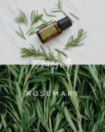 doTERRA TIMES